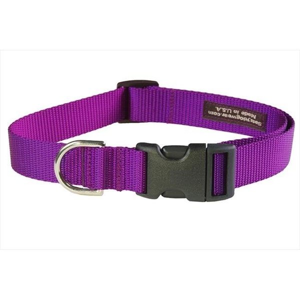 Sassy Dog Wear Sassy Dog Wear SOLID PURPLE MED-C Nylon Webbing Dog Collar; Purple - Medium SOLID PURPLE MED-C